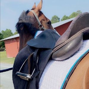 Meet your Posher, Gina